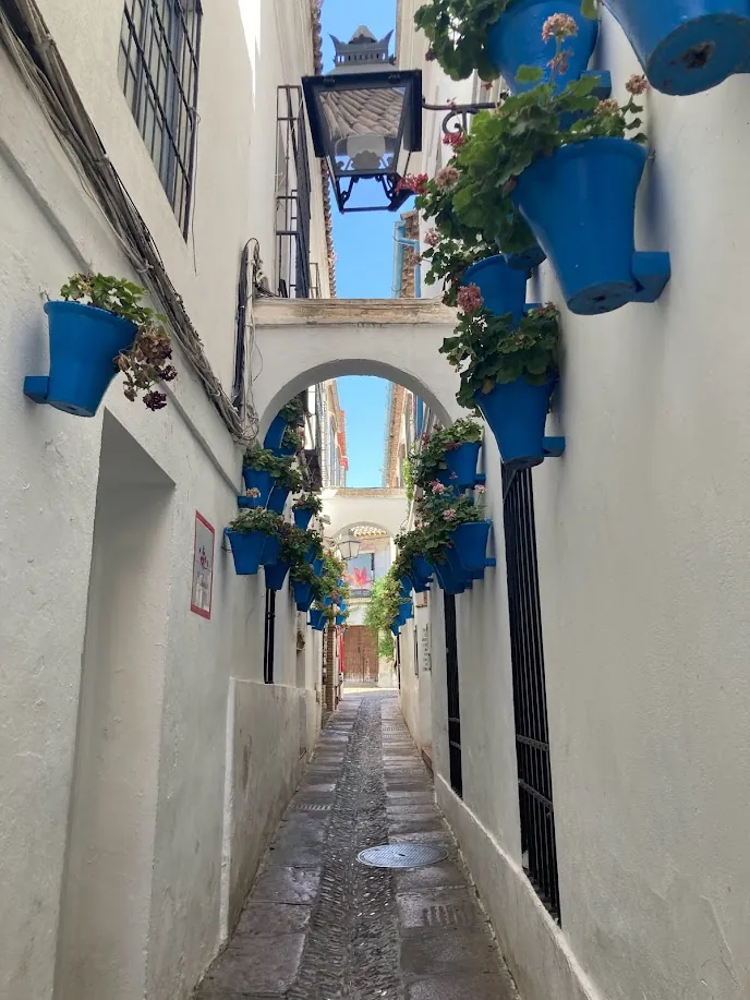 Córdoba y Sevilla